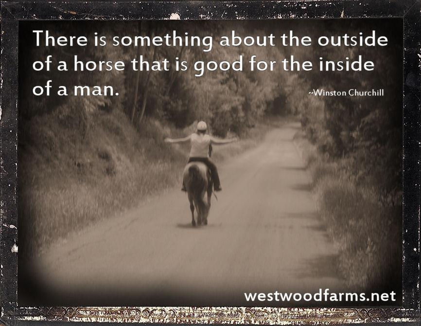 There is something about the outside of a horse that is good for the inside of a man