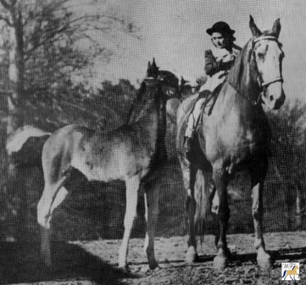 Marianne Leech on Maude Gray with foal