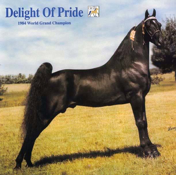 Delight of Pride