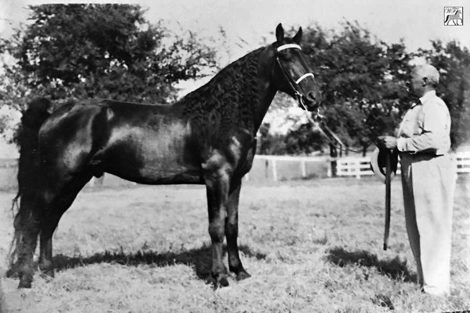 Midnight Sun with Fred "Red" Laws