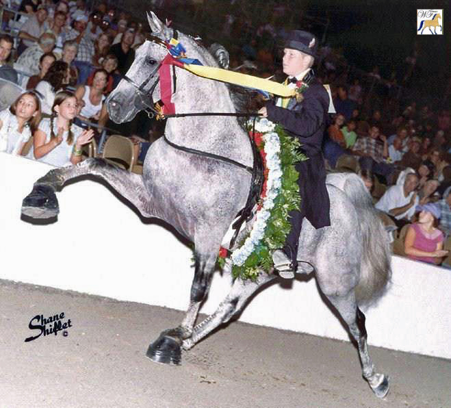 Silver Design (age 4) & Barclay Woodward 