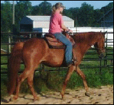 Gambler's Scarlet Lady in 2007