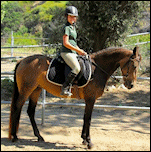 Gambler's Sweet Perfection in 2006