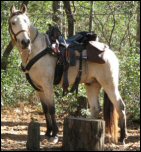 Gambler's Texas Holdem WF in 2007